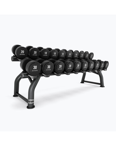 ST 10 PAIR HORIZONTAL DUMBBELL RACK