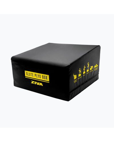 ZVO GLUTE PLYO BOX