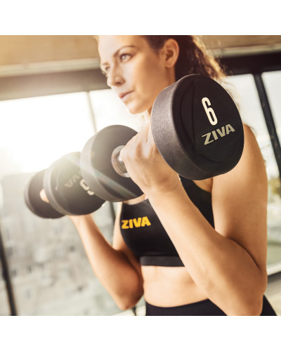 ZVO SOLID STEEL URETHANE DUMBBELL SETS