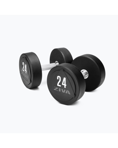 ZVO SOLID STEEL URETHANE DUMBBELLS