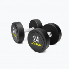 ZVO SOLID STEEL URETHANE DUMBBELLS