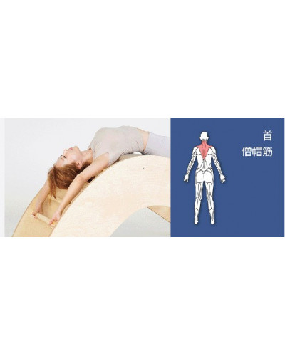 Motioncare Advanced Spine-Corrector