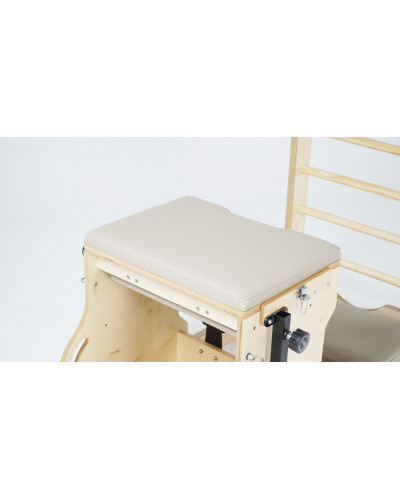 Motioncare Dual Chair & Barrel Pro