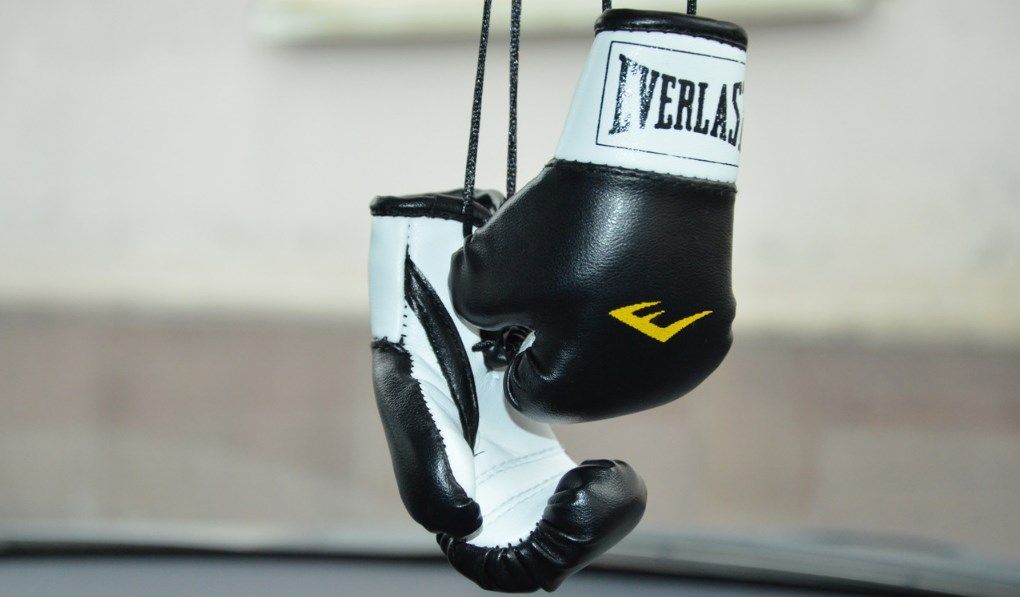Виды боксерских перчаток - как не запутаться при выборе производителя?