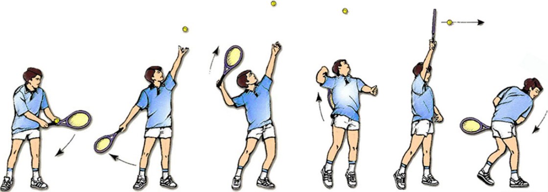 Большой теннис: правила игры и секреты победы