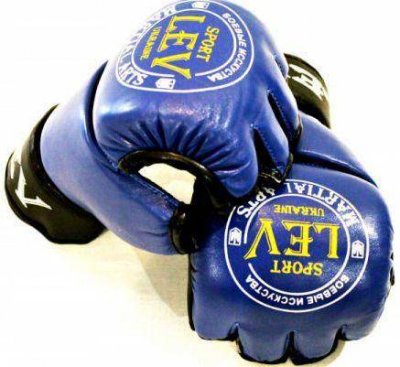 Перчатки MMA Lev Sport (синий)