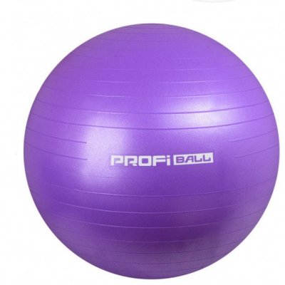 Мяч для фитнеса Profi 1540 65 см 1100г + насос