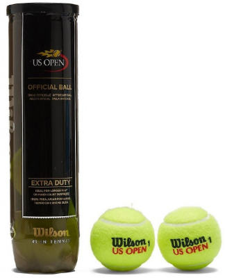 Мячи для б/тенниса Wilson US Open (4шт.)