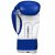 Боксерские перчатки Title Classic Pro Style Training 3.0  (синие)