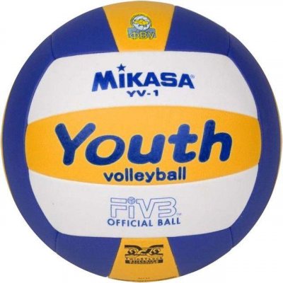 Мяч волейбольный Mikasa с лого ФВУ YV-1