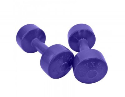 Гантели для фитнеса Титан 2x2,5 кг фиолетовые