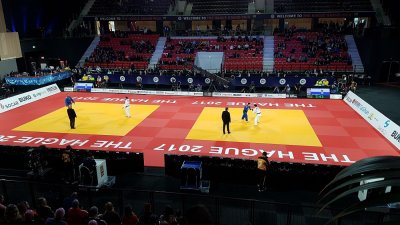 Мат Татами Agglorex Judo OLYMPIC 1x1x0,025м  (плотность 270/280 kg/m³)